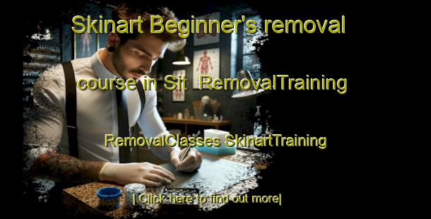 Skinart Beginner's removal course in Sit | #RemovalTraining #RemovalClasses #SkinartTraining-Turkey