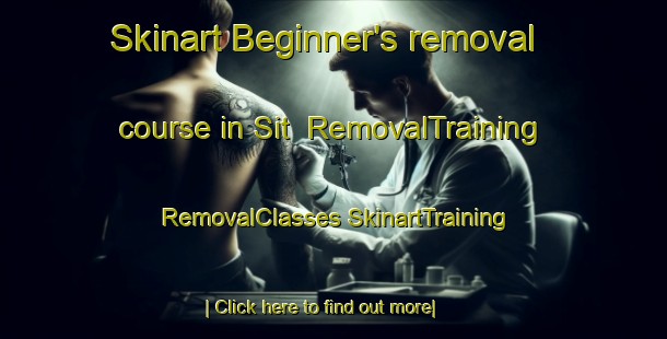 Skinart Beginner's removal course in Sit | #RemovalTraining #RemovalClasses #SkinartTraining-Turkey