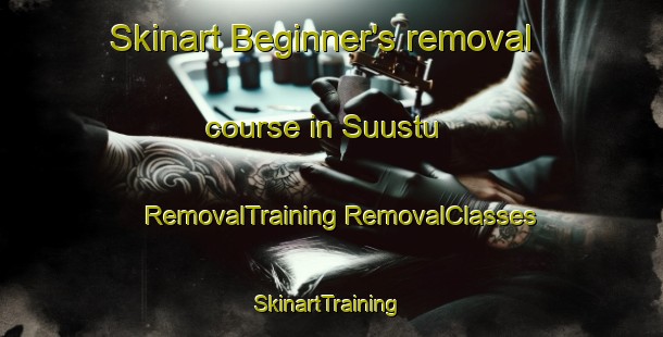 Skinart Beginner's removal course in Suustu | #RemovalTraining #RemovalClasses #SkinartTraining-Turkey