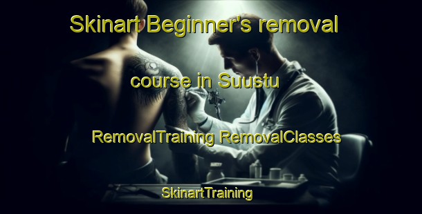 Skinart Beginner's removal course in Suustu | #RemovalTraining #RemovalClasses #SkinartTraining-Turkey