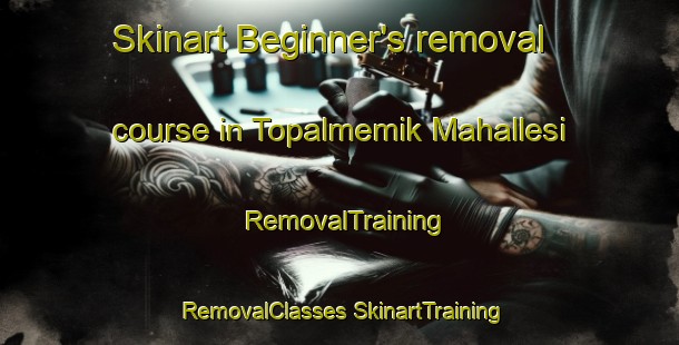 Skinart Beginner's removal course in Topalmemik Mahallesi | #RemovalTraining #RemovalClasses #SkinartTraining-Turkey