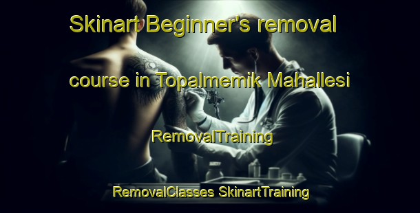 Skinart Beginner's removal course in Topalmemik Mahallesi | #RemovalTraining #RemovalClasses #SkinartTraining-Turkey