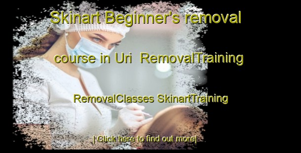 Skinart Beginner's removal course in Uri | #RemovalTraining #RemovalClasses #SkinartTraining-Turkey