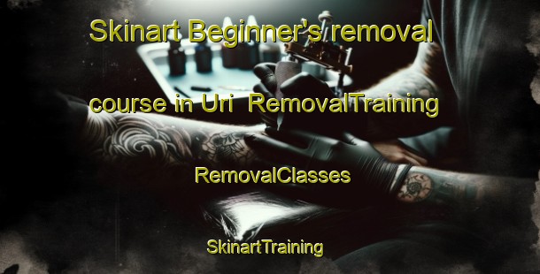 Skinart Beginner's removal course in Uri | RemovalTraining | RemovalClasses | SkinartTraining-Turkey