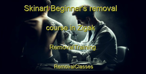 Skinart Beginner's removal course in Zigak | RemovalTraining | RemovalClasses | SkinartTraining-Turkey