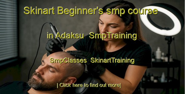 Skinart Beginner's smp course in Adaksu | SmpTraining | SmpClasses | SkinartTraining-Turkey