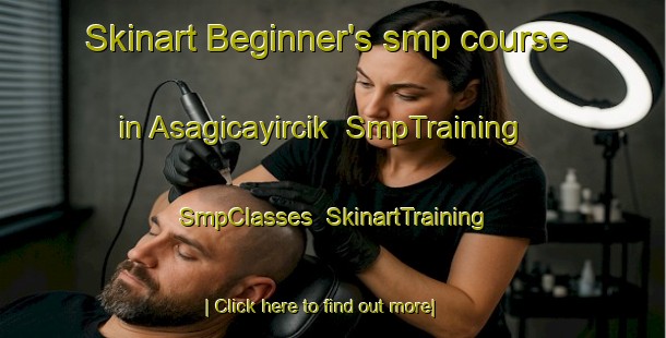 Skinart Beginner's smp course in Asagicayircik | SmpTraining | SmpClasses | SkinartTraining-Turkey