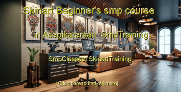 Skinart Beginner's smp course in Asagikaraman | SmpTraining | SmpClasses | SkinartTraining-Turkey