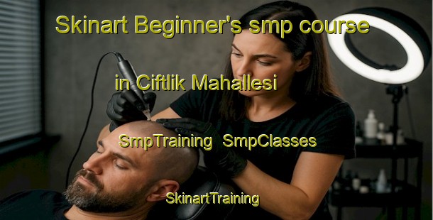 Skinart Beginner's smp course in Ciftlik Mahallesi | SmpTraining | SmpClasses | SkinartTraining-Turkey