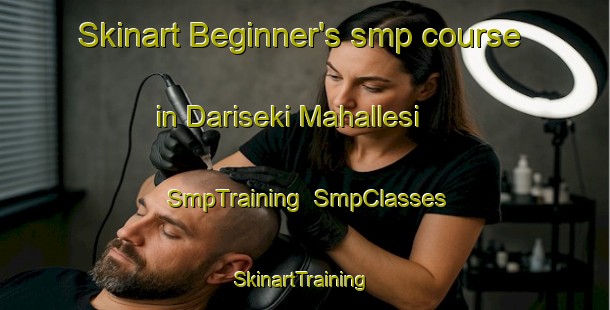 Skinart Beginner's smp course in Dariseki Mahallesi | SmpTraining | SmpClasses | SkinartTraining-Turkey