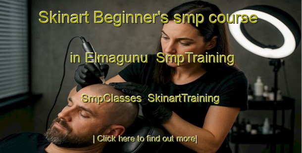 Skinart Beginner's smp course in Elmagunu | SmpTraining | SmpClasses | SkinartTraining-Turkey