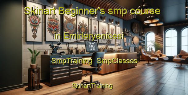 Skinart Beginner's smp course in Emirleryenicesi | SmpTraining | SmpClasses | SkinartTraining-Turkey