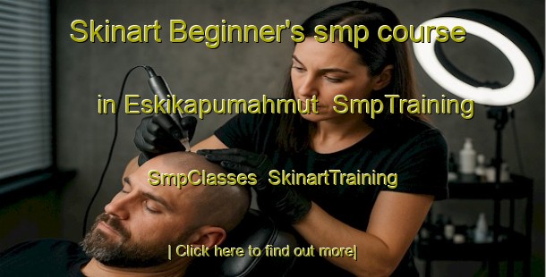 Skinart Beginner's smp course in Eskikapumahmut | SmpTraining | SmpClasses | SkinartTraining-Turkey