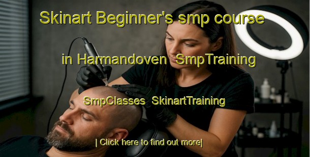 Skinart Beginner's smp course in Harmandoven | SmpTraining | SmpClasses | SkinartTraining-Turkey