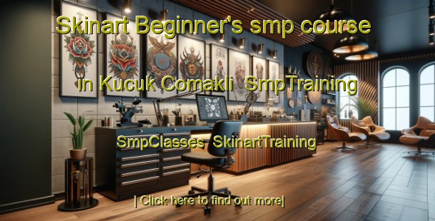 Skinart Beginner's smp course in Kucuk Comakli | SmpTraining | SmpClasses | SkinartTraining-Turkey