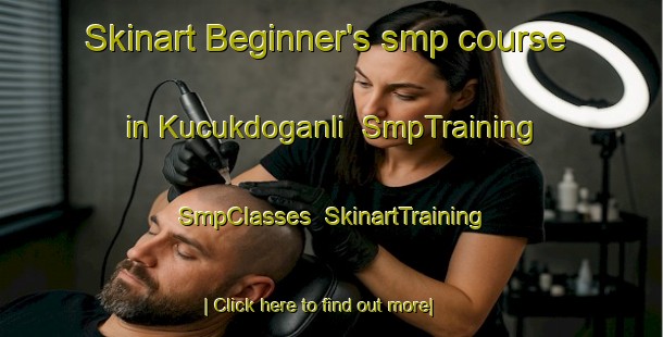 Skinart Beginner's smp course in Kucukdoganli | SmpTraining | SmpClasses | SkinartTraining-Turkey
