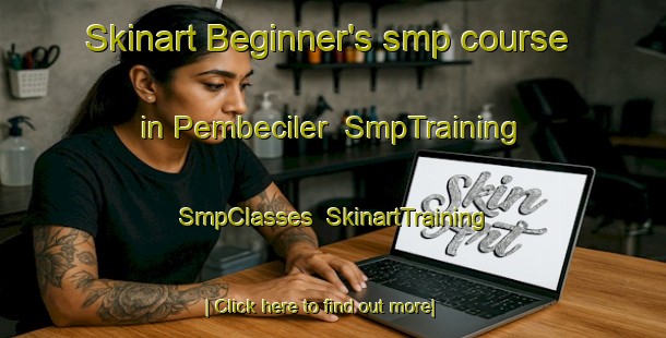 Skinart Beginner's smp course in Pembeciler | SmpTraining | SmpClasses | SkinartTraining-Turkey