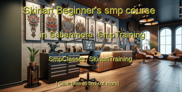 Skinart Beginner's smp course in Sabanmera | SmpTraining | SmpClasses | SkinartTraining-Turkey