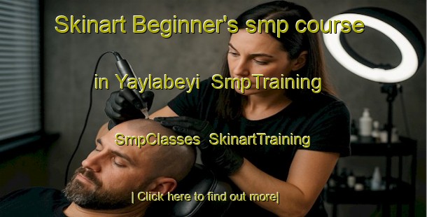 Skinart Beginner's smp course in Yaylabeyi | SmpTraining | SmpClasses | SkinartTraining-Turkey