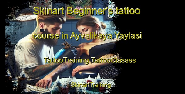 Skinart Beginner's tattoo course in Ayvalikaya Yaylasi | #TattooTraining #TattooClasses #SkinartTraining-Turkey