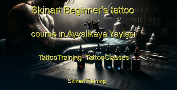 Skinart Beginner's tattoo course in Ayvalikaya Yaylasi | TattooTraining | TattooClasses | SkinartTraining-Turkey