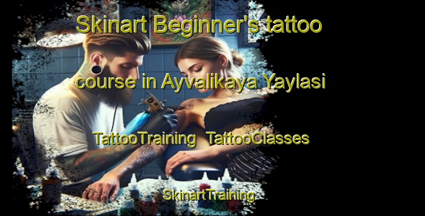 Skinart Beginner's tattoo course in Ayvalikaya Yaylasi | TattooTraining | TattooClasses | SkinartTraining-Turkey
