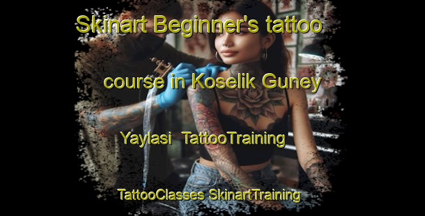 Skinart Beginner's tattoo course in Koselik Guney Yaylasi | #TattooTraining #TattooClasses #SkinartTraining-Turkey