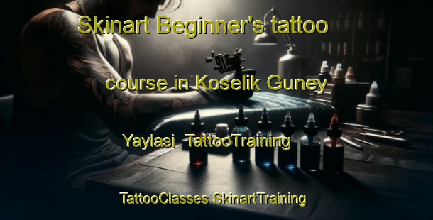 Skinart Beginner's tattoo course in Koselik Guney Yaylasi | #TattooTraining #TattooClasses #SkinartTraining-Turkey