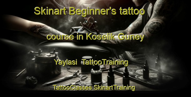 Skinart Beginner's tattoo course in Koselik Guney Yaylasi | #TattooTraining #TattooClasses #SkinartTraining-Turkey