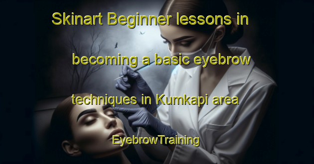Skinart Beginner lessons in becoming a basic eyebrow techniques in Kumkapi area | EyebrowTraining | EyebrowClasses | SkinartTraining-Turkey