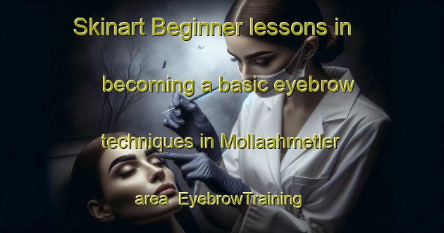 Skinart Beginner lessons in becoming a basic eyebrow techniques in Mollaahmetler area | EyebrowTraining | EyebrowClasses | SkinartTraining-Turkey