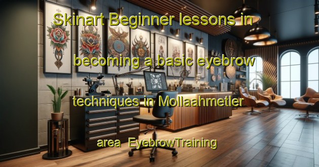Skinart Beginner lessons in becoming a basic eyebrow techniques in Mollaahmetler area | EyebrowTraining | EyebrowClasses | SkinartTraining-Turkey