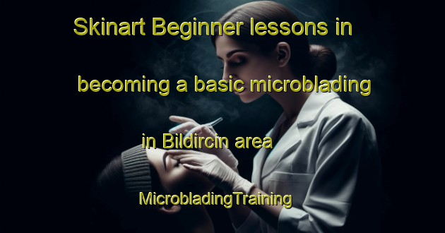 Skinart Beginner lessons in becoming a basic microblading in Bildircin area | MicrobladingTraining | MicrobladingClasses | SkinartTraining-Turkey