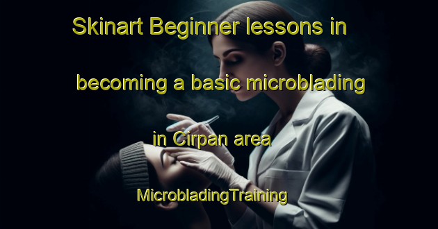 Skinart Beginner lessons in becoming a basic microblading in Cirpan area | MicrobladingTraining | MicrobladingClasses | SkinartTraining-Turkey