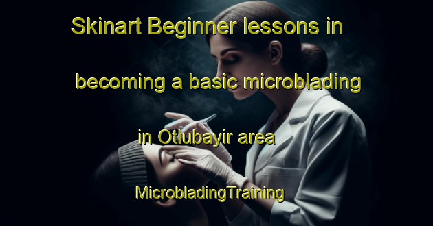 Skinart Beginner lessons in becoming a basic microblading in Otlubayir area | MicrobladingTraining | MicrobladingClasses | SkinartTraining-Turkey