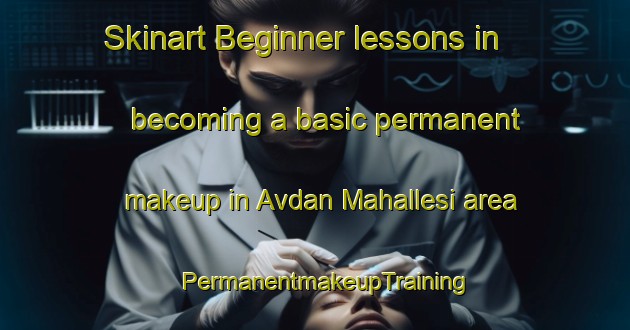 Skinart Beginner lessons in becoming a basic permanent makeup in Avdan Mahallesi area | PermanentmakeupTraining | PermanentmakeupClasses | SkinartTraining-Turkey