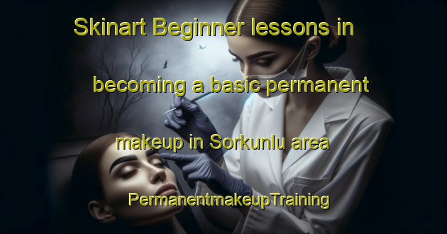 Skinart Beginner lessons in becoming a basic permanent makeup in Sorkunlu area | PermanentmakeupTraining | PermanentmakeupClasses | SkinartTraining-Turkey