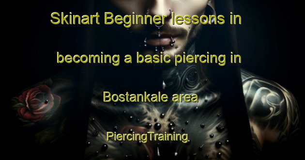 Skinart Beginner lessons in becoming a basic piercing in Bostankale area | PiercingTraining | PiercingClasses | SkinartTraining-Turkey