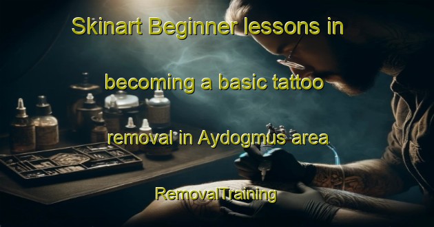 Skinart Beginner lessons in becoming a basic tattoo removal in Aydogmus area | RemovalTraining | RemovalClasses | SkinartTraining-Turkey