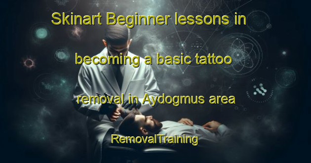 Skinart Beginner lessons in becoming a basic tattoo removal in Aydogmus area | RemovalTraining | RemovalClasses | SkinartTraining-Turkey