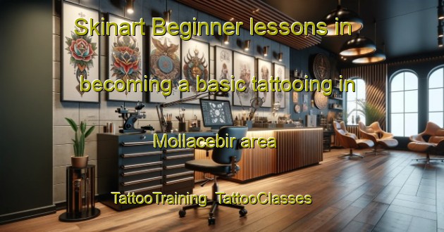 Skinart Beginner lessons in becoming a basic tattooing in Mollacebir area | TattooTraining | TattooClasses | SkinartTraining-Turkey