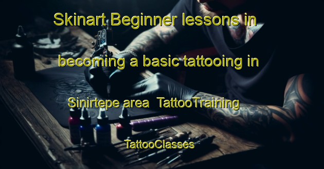 Skinart Beginner lessons in becoming a basic tattooing in Sinirtepe area | TattooTraining | TattooClasses | SkinartTraining-Turkey
