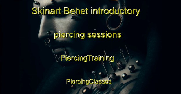 Skinart Behet introductory piercing sessions | PiercingTraining | PiercingClasses | SkinartTraining-Turkey