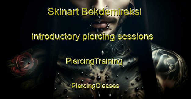 Skinart Bekdemireksi introductory piercing sessions | #PiercingTraining #PiercingClasses #SkinartTraining-Turkey