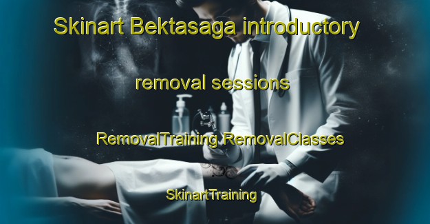 Skinart Bektasaga introductory removal sessions | #RemovalTraining #RemovalClasses #SkinartTraining-Turkey