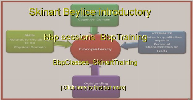 Skinart Beylice introductory bbp sessions | BbpTraining | BbpClasses | SkinartTraining-Turkey