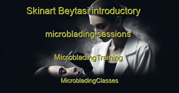 Skinart Beytasi introductory microblading sessions | #MicrobladingTraining #MicrobladingClasses #SkinartTraining-Turkey