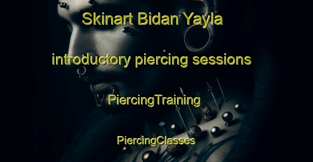 Skinart Bidan Yayla introductory piercing sessions | #PiercingTraining #PiercingClasses #SkinartTraining-Turkey