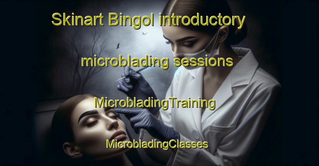 Skinart Bingol introductory microblading sessions | MicrobladingTraining | MicrobladingClasses | SkinartTraining-Turkey