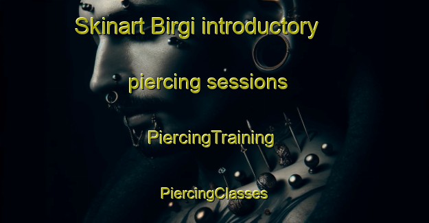 Skinart Birgi introductory piercing sessions | #PiercingTraining #PiercingClasses #SkinartTraining-Turkey